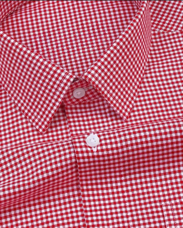 Men's Red Regular Fit Checks Full Sleeve Shirt - WearMen